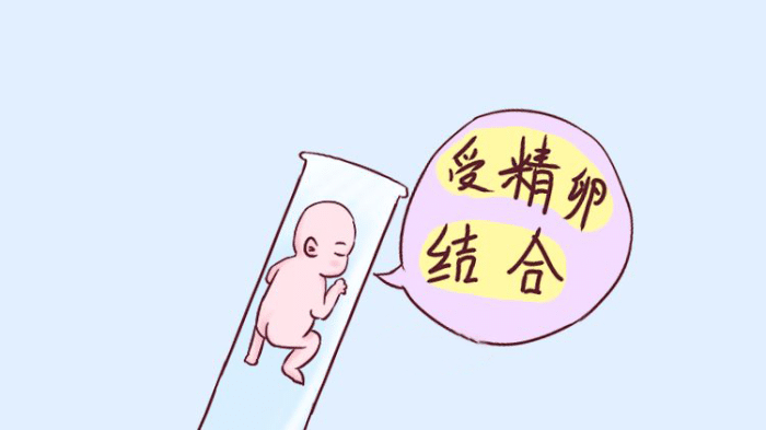 女人生育次数